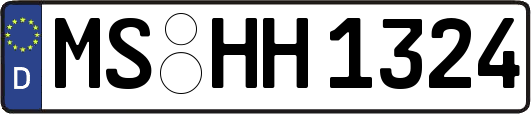 MS-HH1324