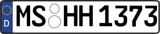 MS-HH1373