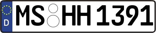 MS-HH1391