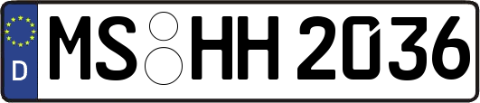 MS-HH2036