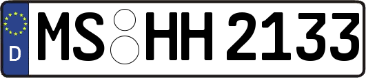 MS-HH2133