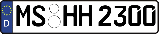 MS-HH2300