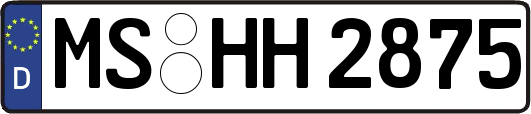 MS-HH2875
