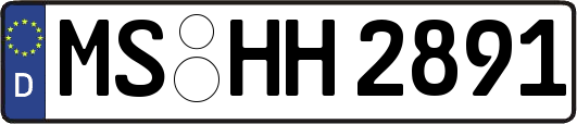MS-HH2891