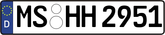 MS-HH2951