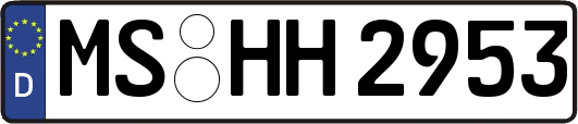 MS-HH2953