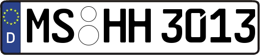 MS-HH3013