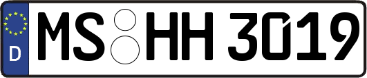 MS-HH3019