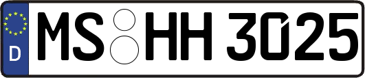 MS-HH3025