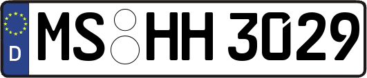 MS-HH3029