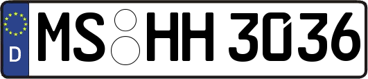 MS-HH3036