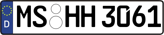 MS-HH3061
