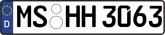 MS-HH3063