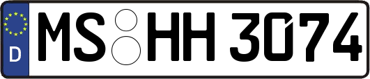 MS-HH3074