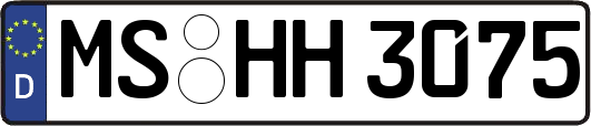 MS-HH3075