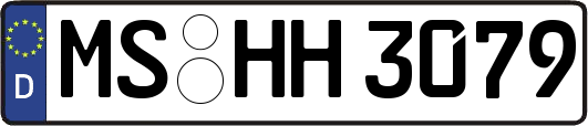 MS-HH3079