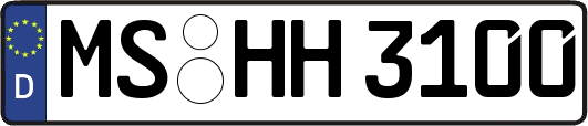 MS-HH3100