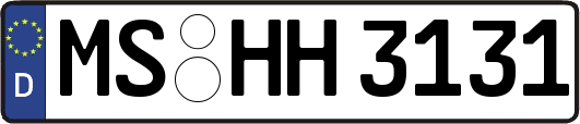 MS-HH3131