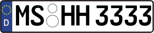 MS-HH3333