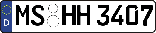 MS-HH3407