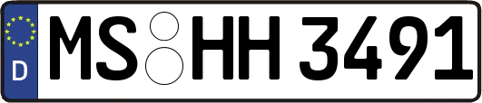 MS-HH3491