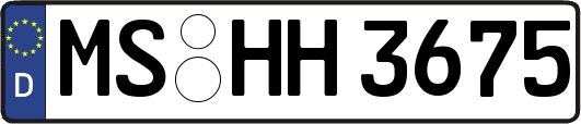 MS-HH3675