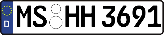 MS-HH3691