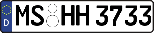 MS-HH3733