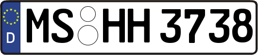 MS-HH3738
