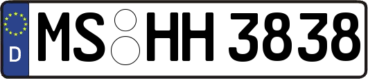 MS-HH3838