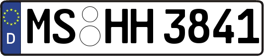 MS-HH3841