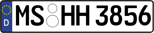 MS-HH3856