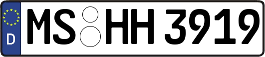 MS-HH3919