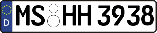 MS-HH3938