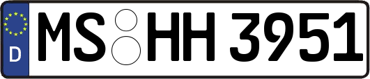 MS-HH3951