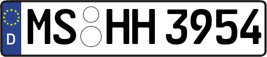 MS-HH3954