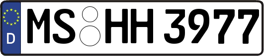 MS-HH3977