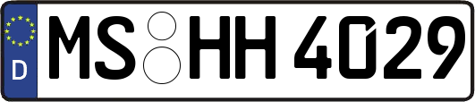 MS-HH4029
