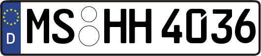 MS-HH4036