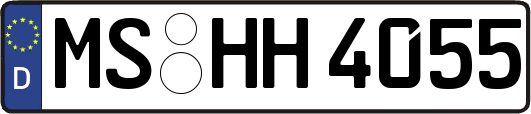 MS-HH4055