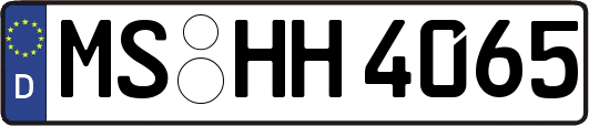 MS-HH4065