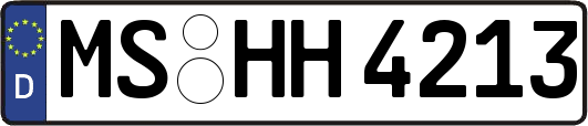 MS-HH4213
