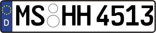 MS-HH4513