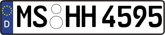 MS-HH4595