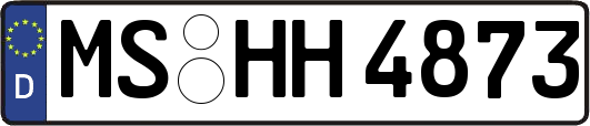 MS-HH4873