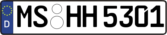 MS-HH5301