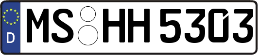 MS-HH5303