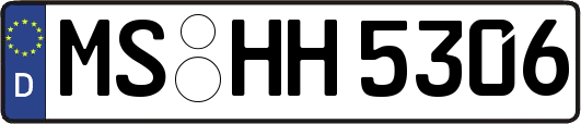 MS-HH5306