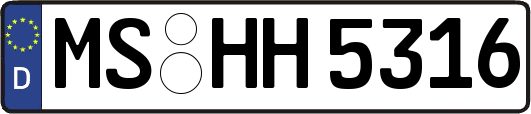 MS-HH5316