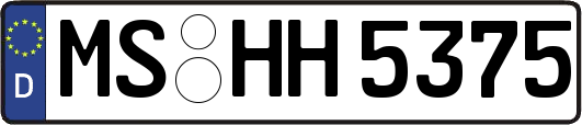 MS-HH5375